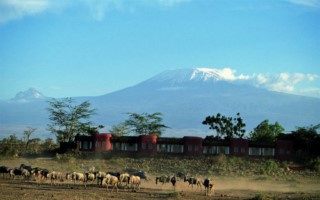 Amboseli Serena [320x200]